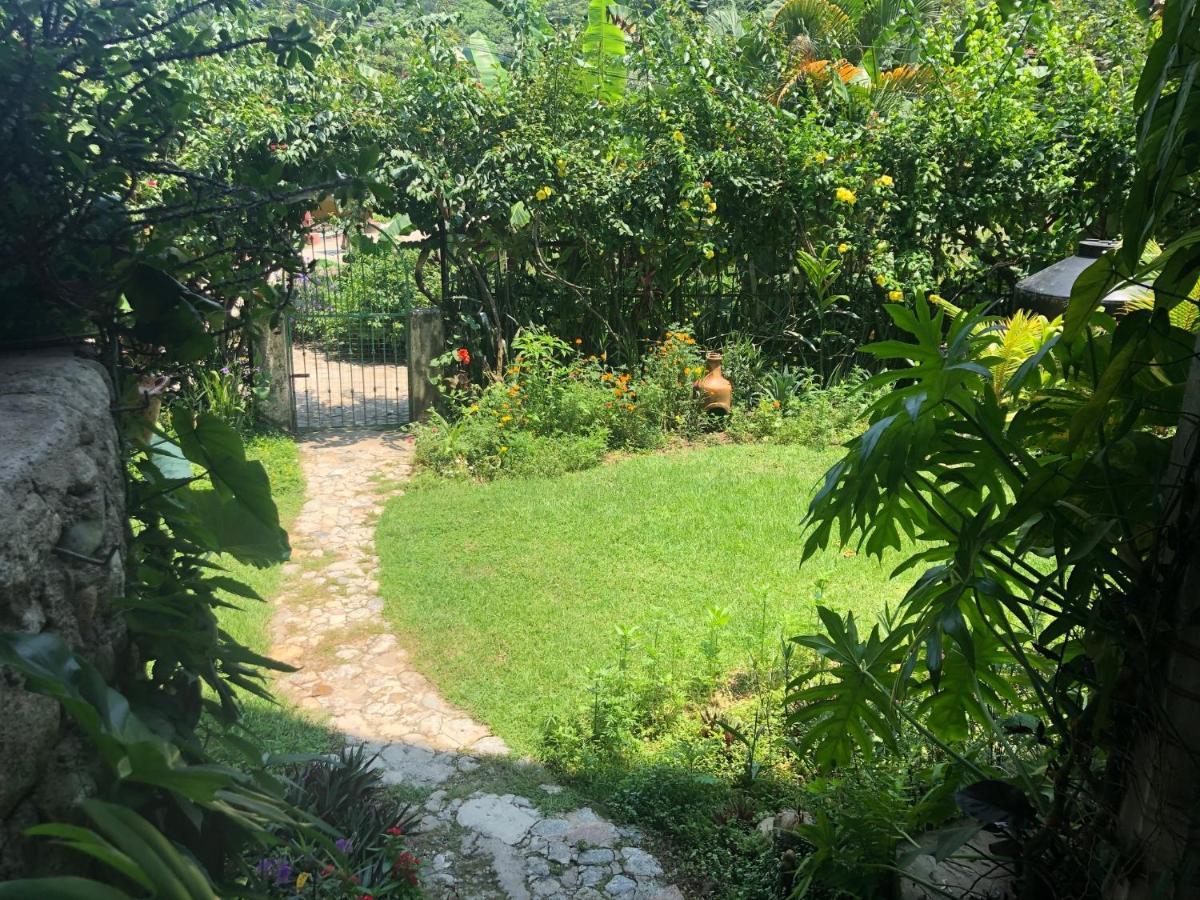 Casa Cereza Apartments Puerto Vallarta Eksteriør billede