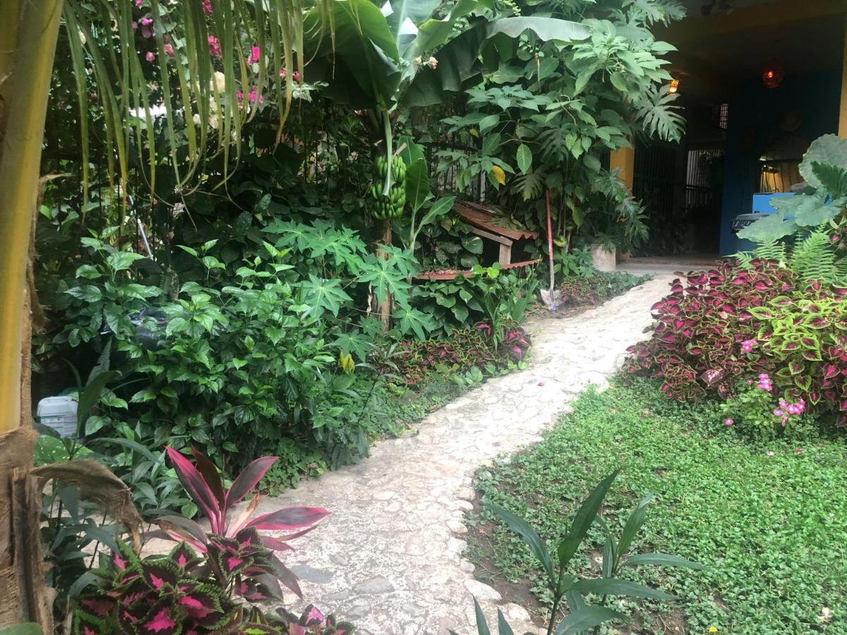 Casa Cereza Apartments Puerto Vallarta Eksteriør billede